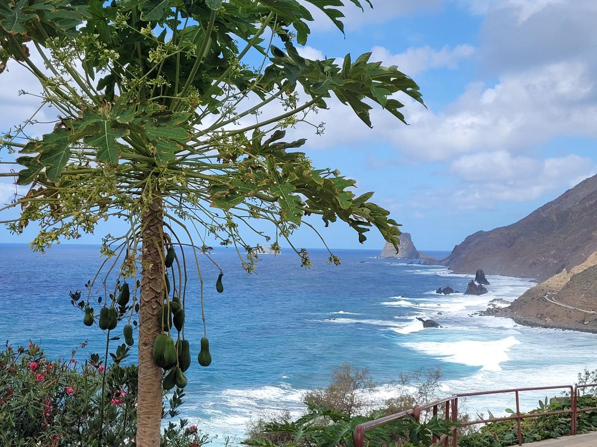 Casa Manolo Paraiso Beach Trail Almaciga Ngoại thất bức ảnh