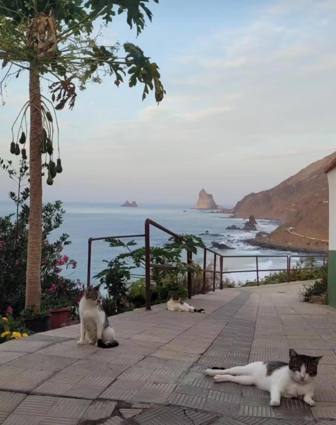 Casa Manolo Paraiso Beach Trail Almaciga Ngoại thất bức ảnh